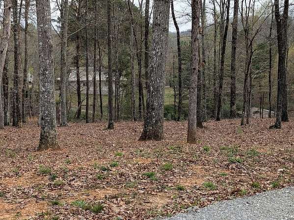 5.74 Acres of Residential Land for Sale in Brasstown, North Carolina