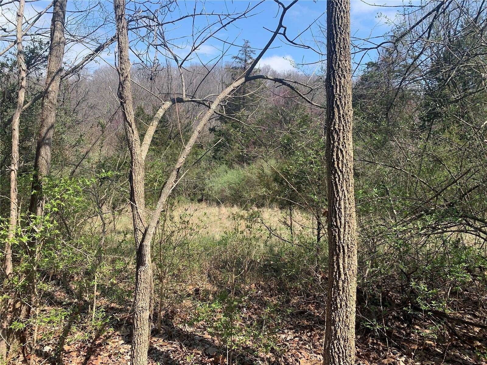 3.38 Acres of Residential Land for Sale in Wildwood, Missouri