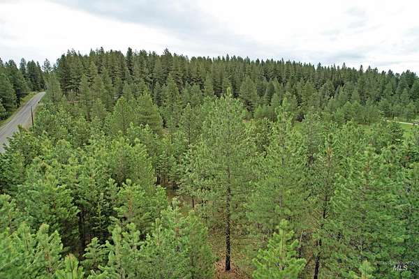 5.4 Acres of Land for Sale in McCall, Idaho