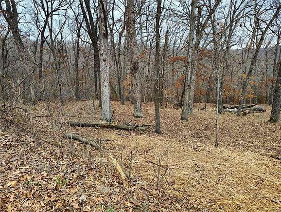 0.29 Acres of Residential Land for Sale in Holiday Island, Arkansas