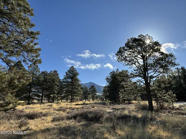 12 Acres of Land for Sale in Flagstaff, Arizona