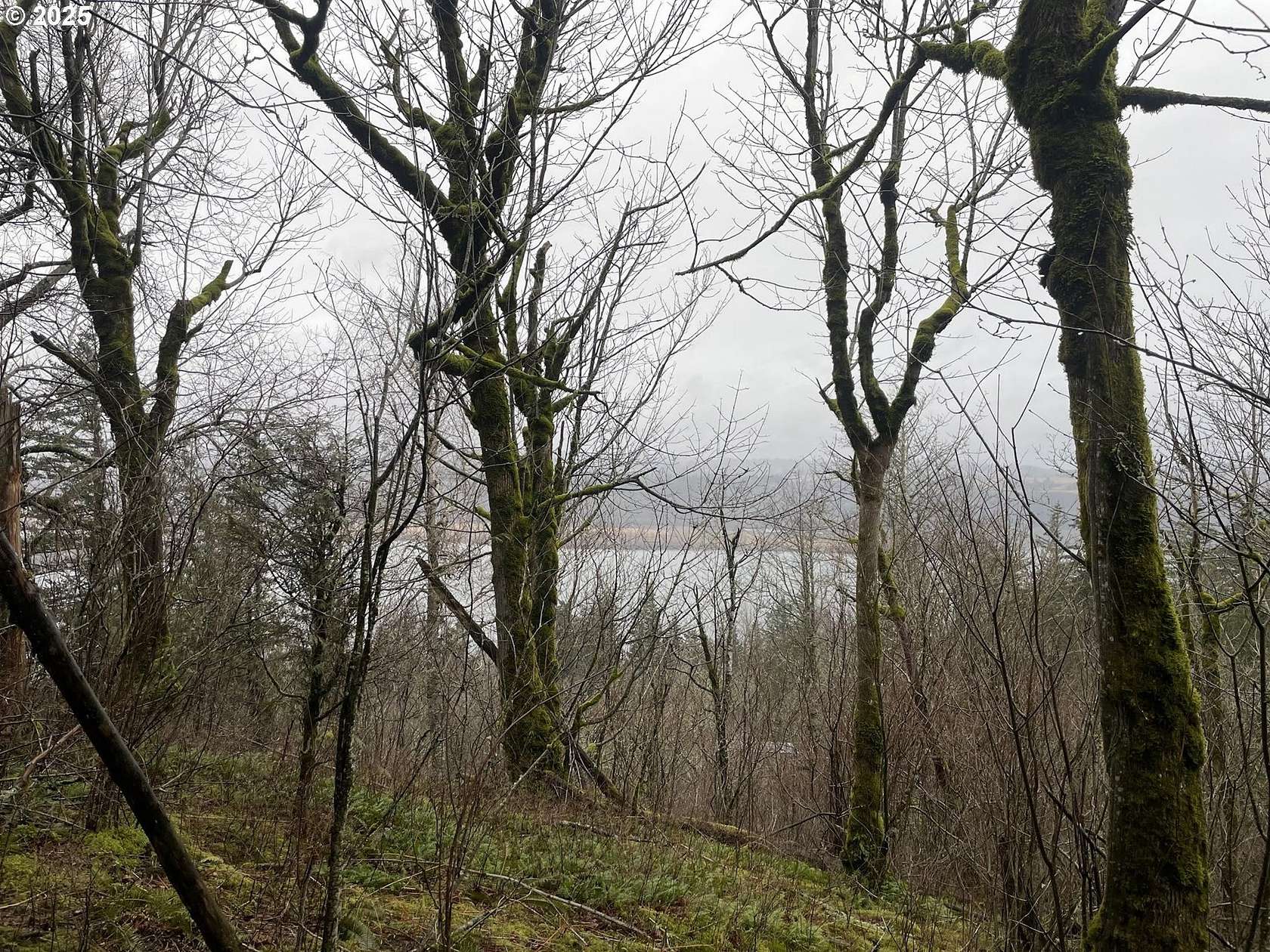 2.59 Acres of Land for Sale in Corbett, Oregon