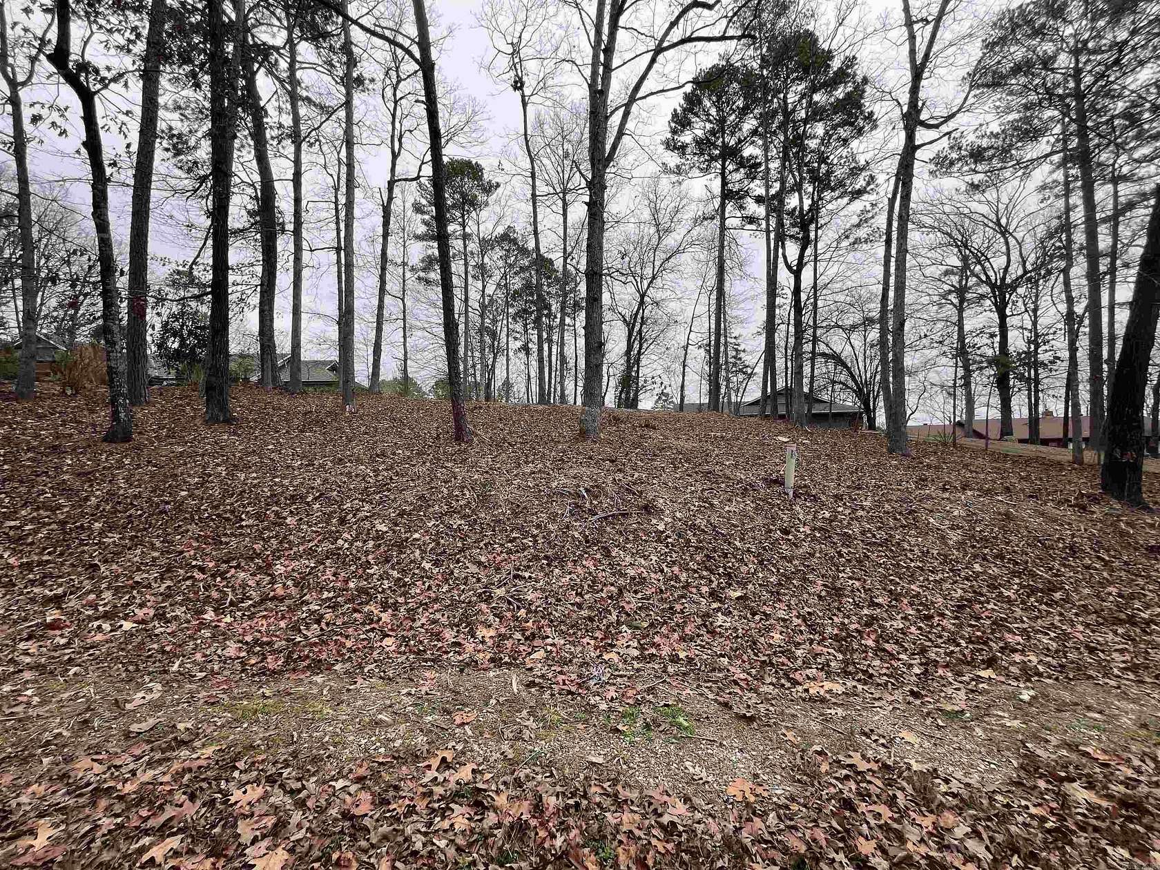 0.43 Acres of Residential Land for Sale in Hot Springs Village, Arkansas
