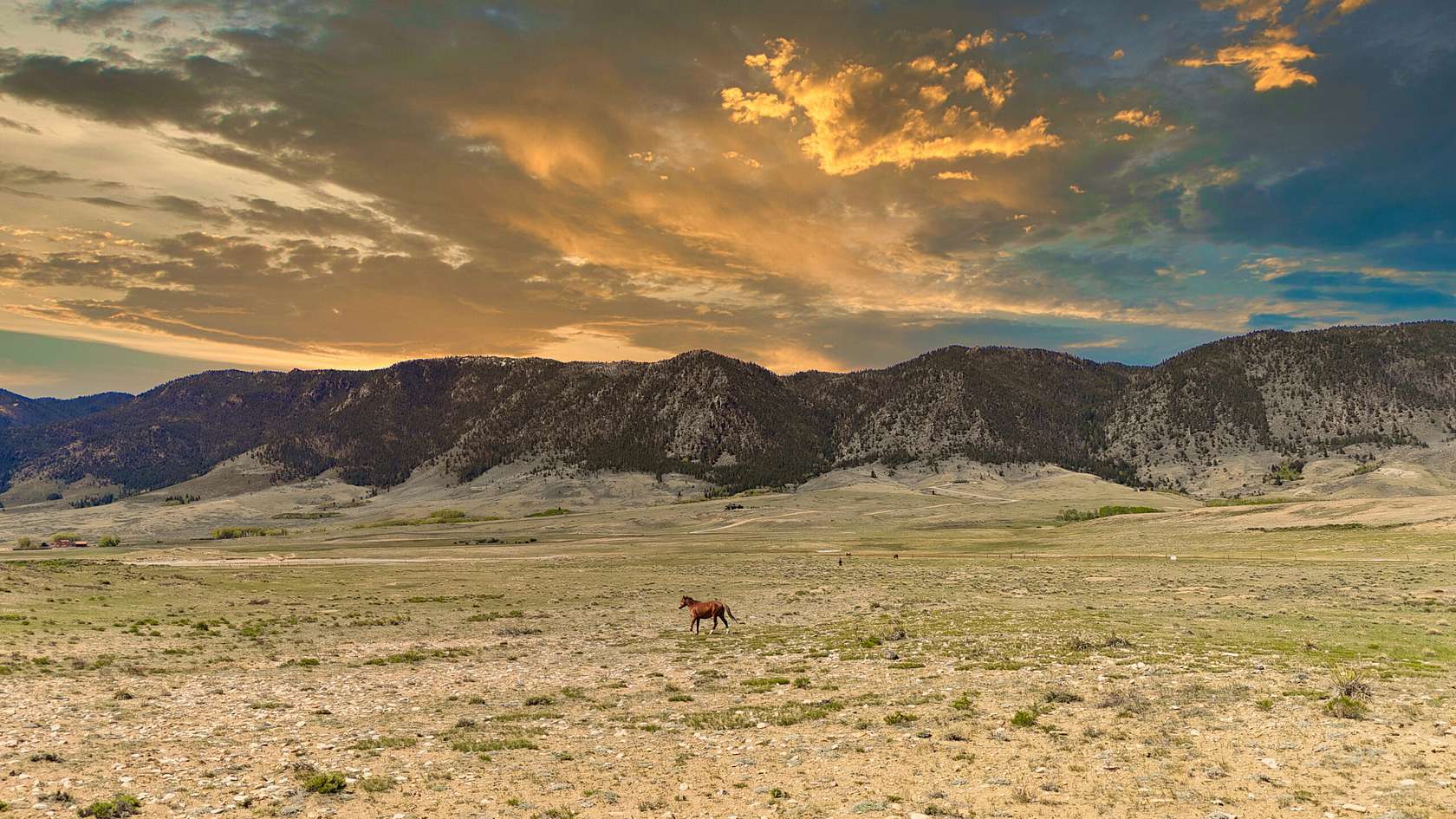 39.4 Acres of Recreational Land for Sale in Laramie, Wyoming