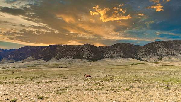 39.4 Acres of Recreational & Residential Land for Sale in Laramie, Wyoming