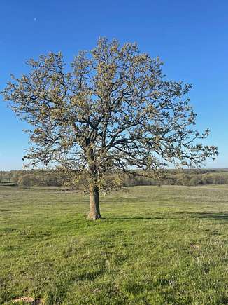 220 Acres of Agricultural Land for Sale in Macomb, Oklahoma