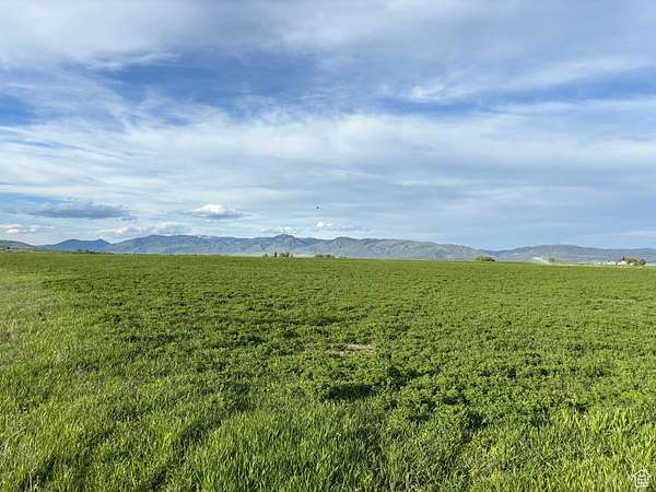 2.5 Acres of Residential Land for Sale in Montpelier, Idaho