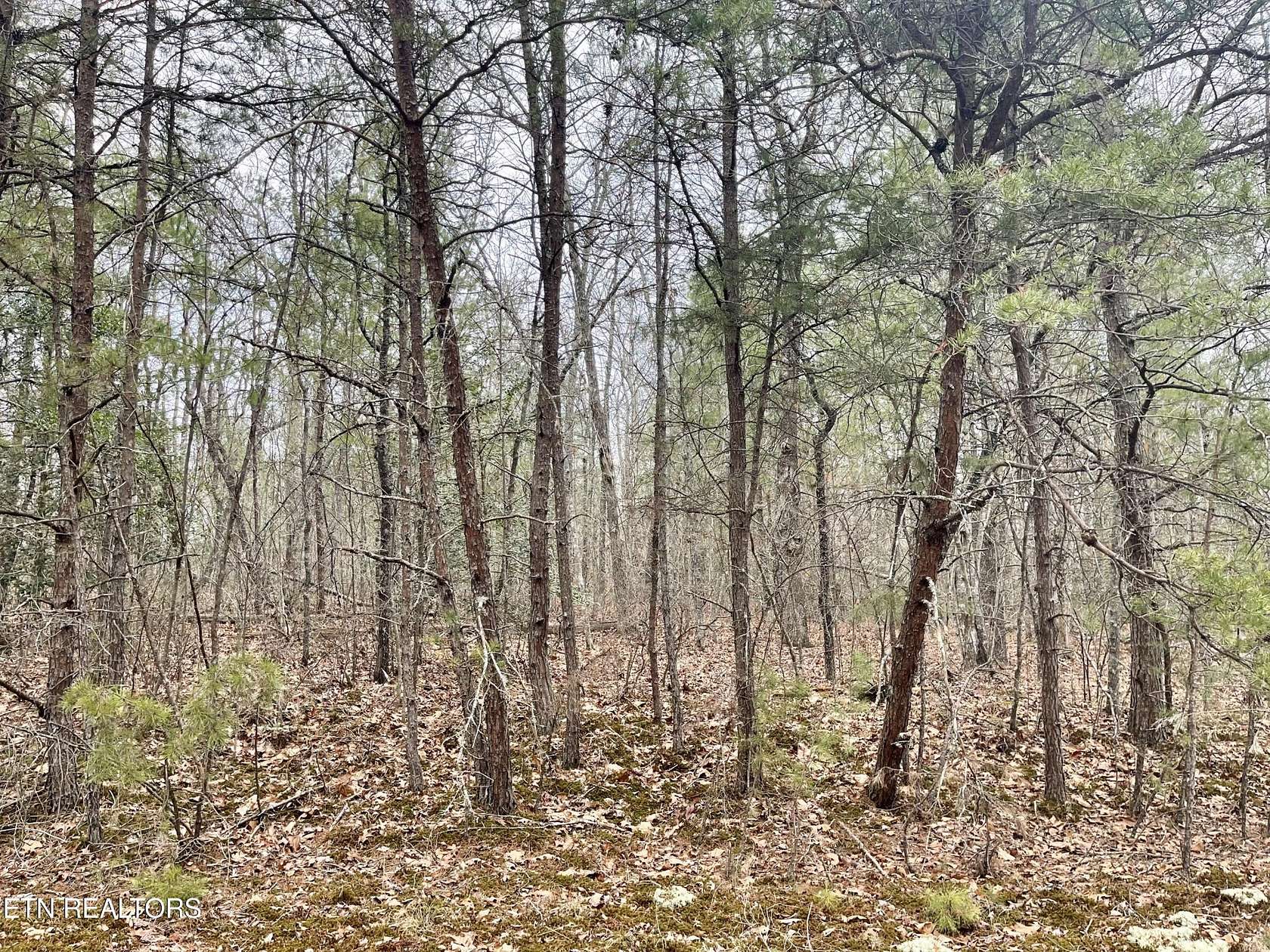 0.25 Acres of Land for Sale in Crossville, Tennessee