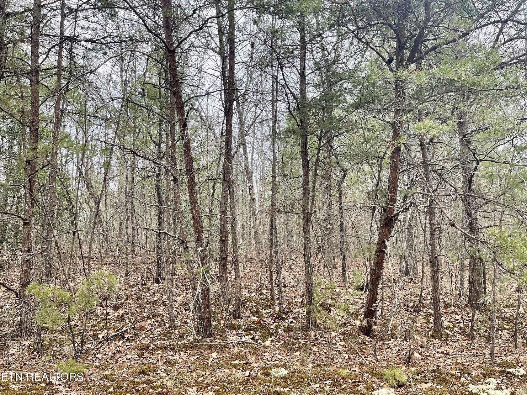 0.25 Acres of Residential Land for Sale in Crossville, Tennessee