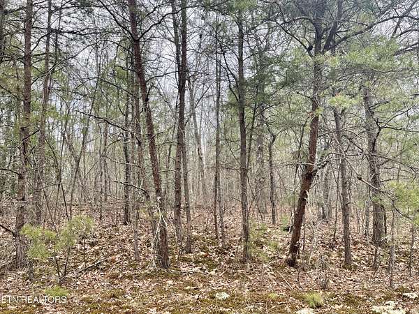 0.25 Acres of Land for Sale in Crossville, Tennessee