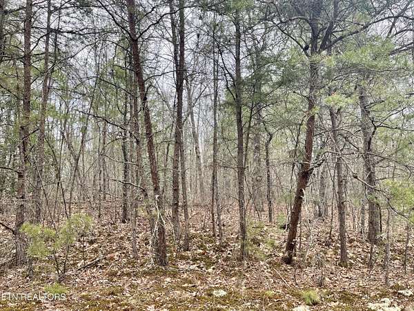 0.25 Acres of Residential Land for Sale in Crossville, Tennessee
