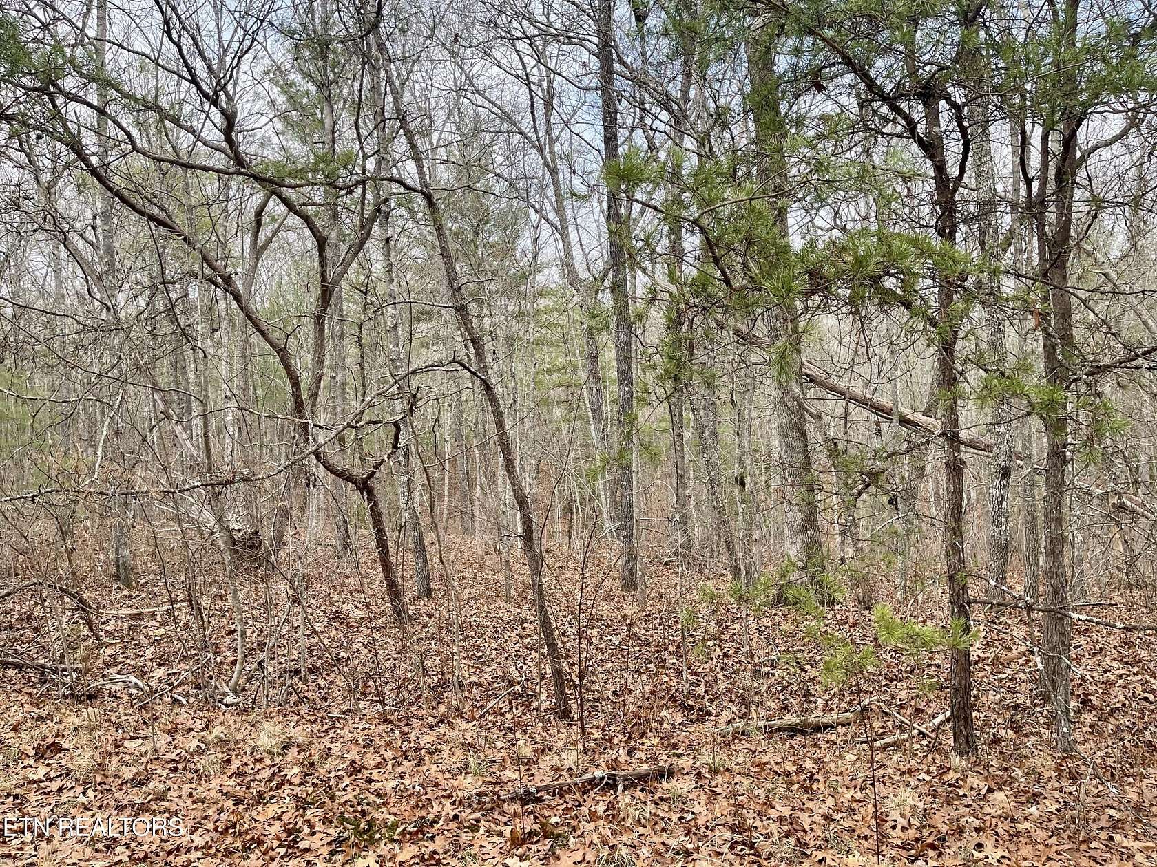 0.25 Acres of Residential Land for Sale in Crossville, Tennessee