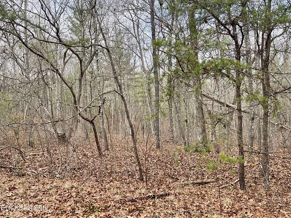 0.25 Acres of Land for Sale in Crossville, Tennessee