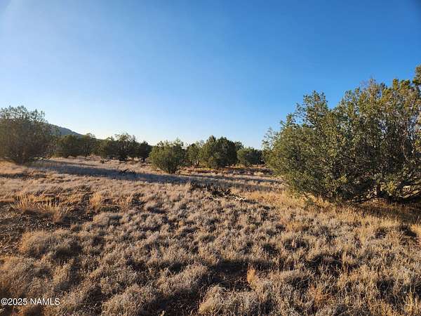 1.57 Acres of Land for Sale in Ash Fork, Arizona