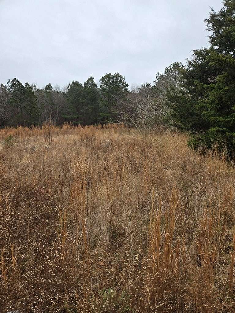 4 Acres of Land with Home for Sale in Birdsnest, Virginia