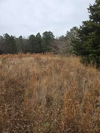 4 Acres of Land with Home for Sale in Birdsnest, Virginia