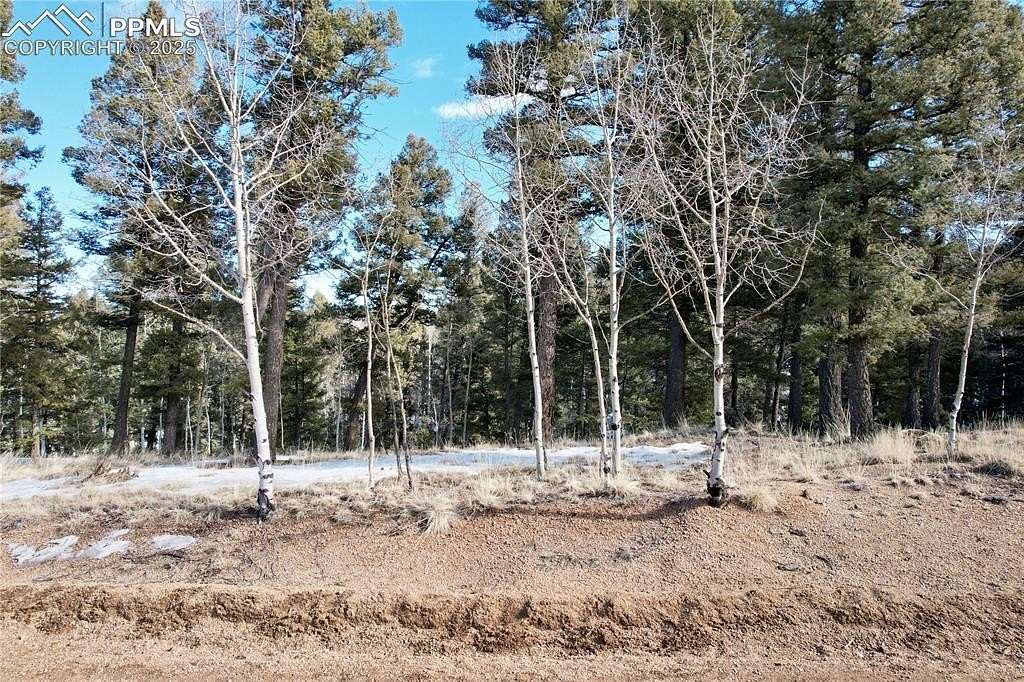 1.14 Acres of Residential Land for Sale in Divide, Colorado