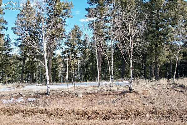 1.14 Acres of Residential Land for Sale in Divide, Colorado