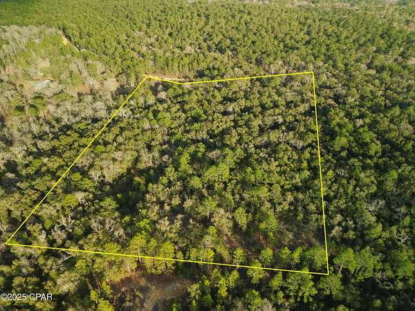 10 Acres of Land for Sale in Vernon, Florida