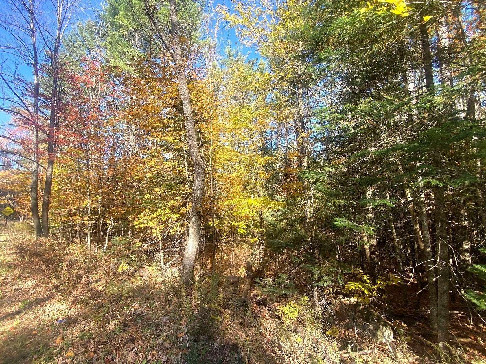 0.62 Acres of Residential Land for Sale in Minerva, New York