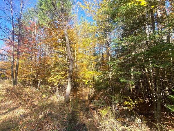 0.62 Acres of Residential Land for Sale in Minerva, New York
