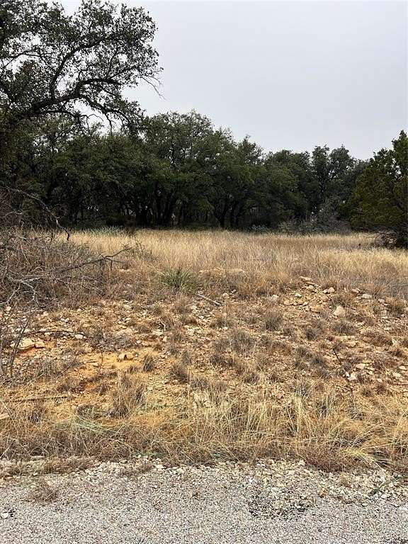 0.29 Acres of Land for Sale in Brownwood, Texas
