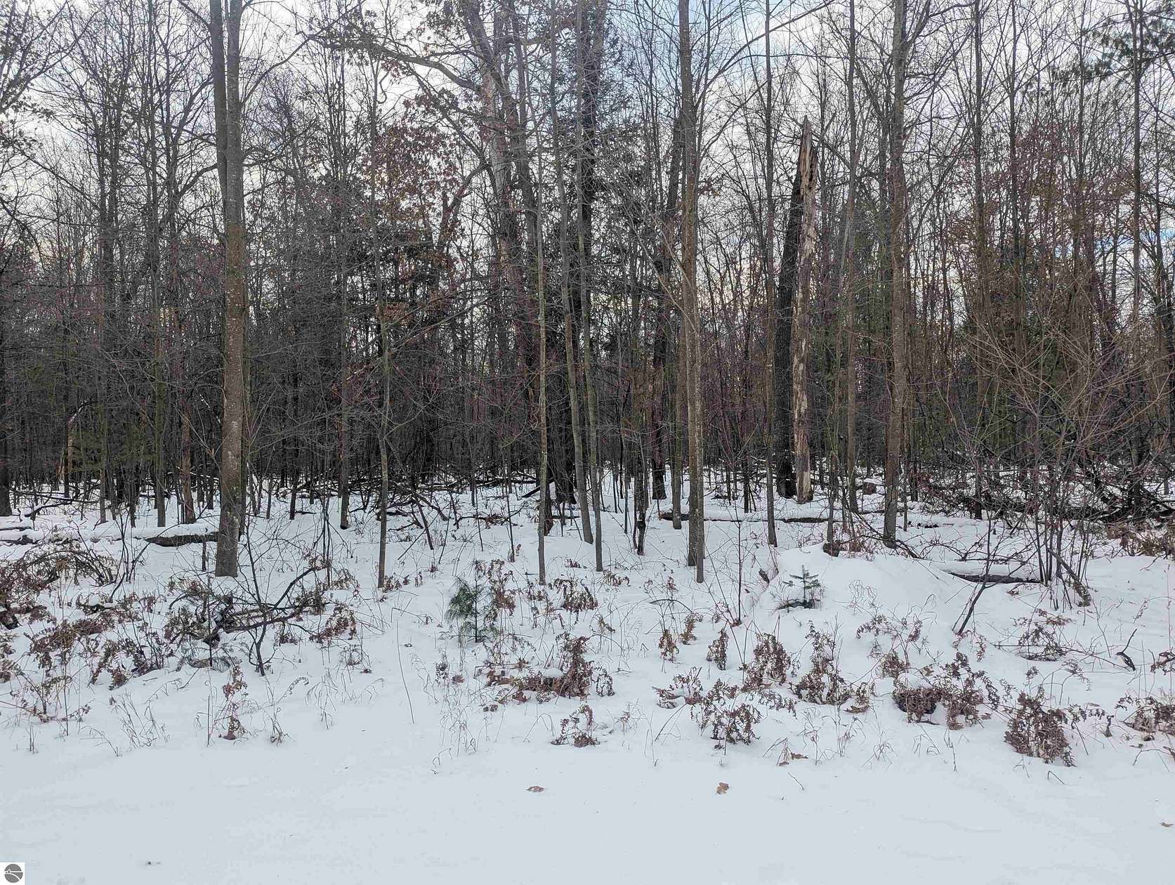 0.2 Acres of Land for Sale in Prescott, Michigan