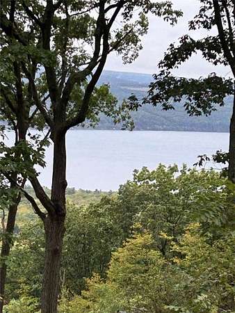 55 Acres of Land for Sale in Burdett, New York