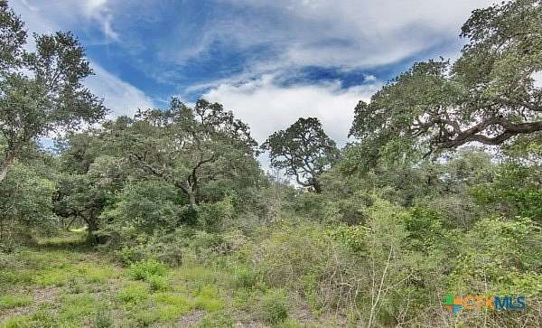 15.3 Acres of Land for Sale in Edna, Texas