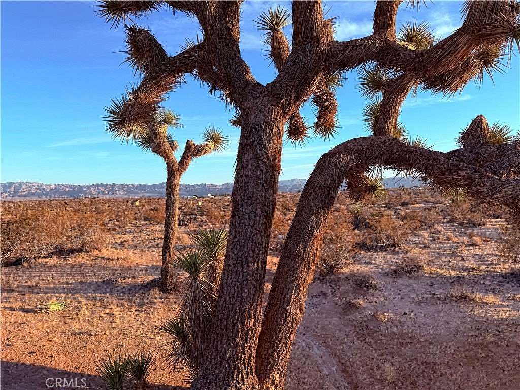 2.3 Acres of Land for Sale in Joshua Tree, California