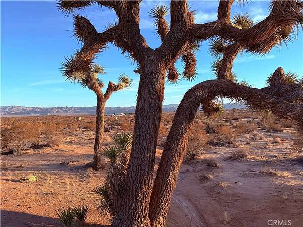 2.3 Acres of Land for Sale in Joshua Tree, California