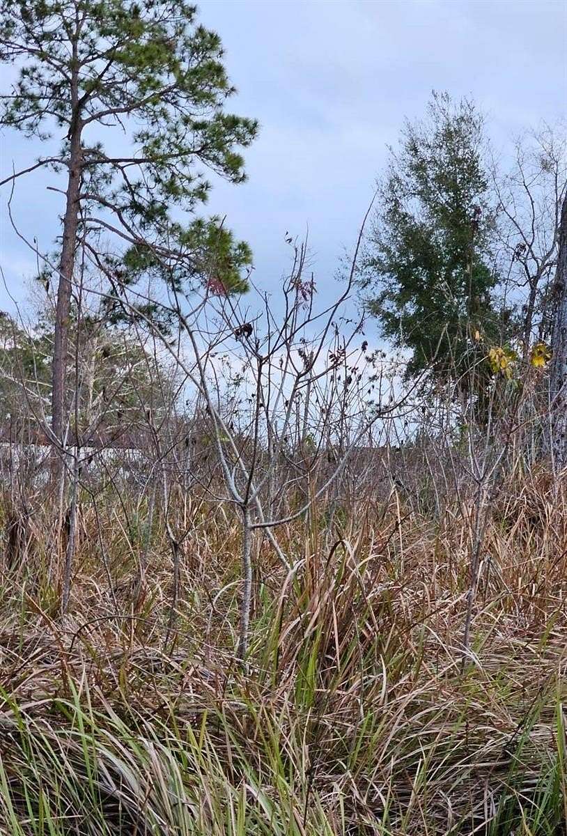 0.19 Acres of Residential Land for Sale in Belleview, Florida