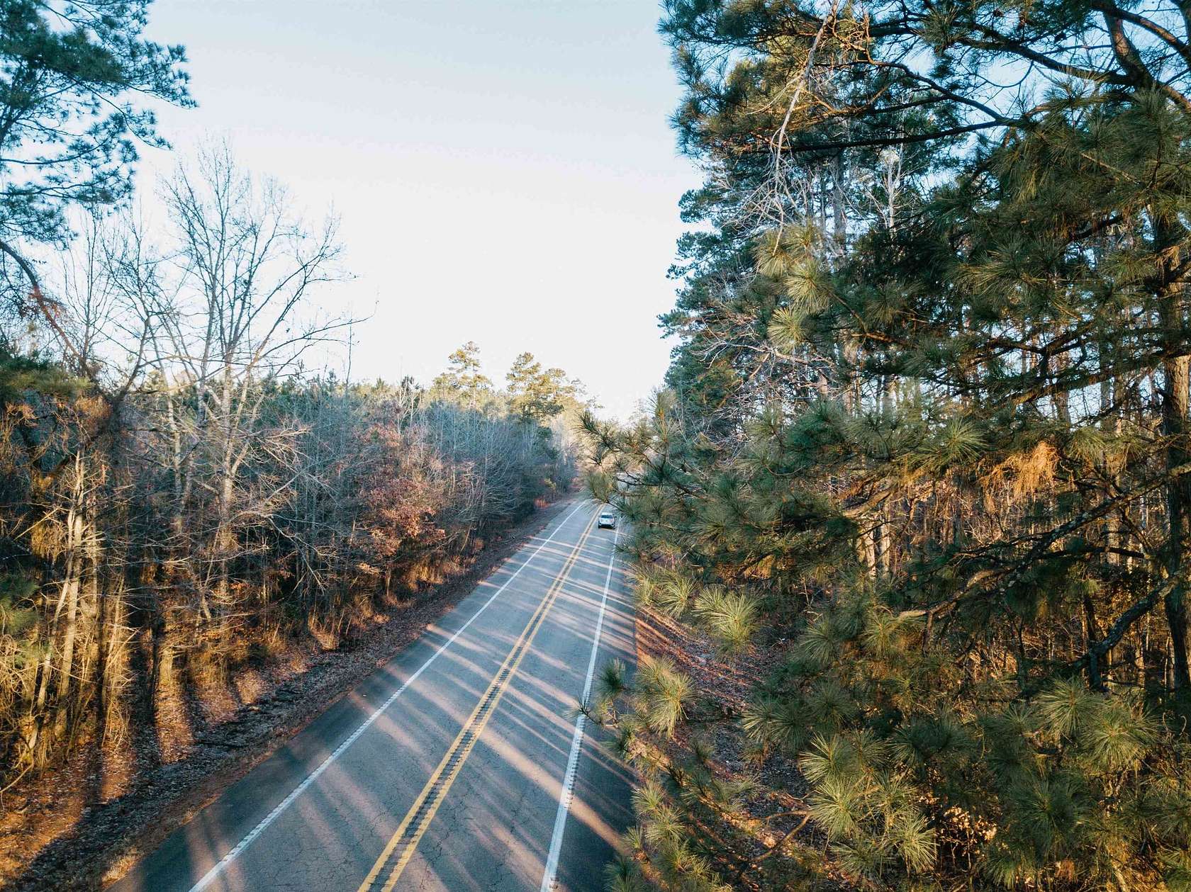 40 Acres of Land for Sale in Fordyce, Arkansas