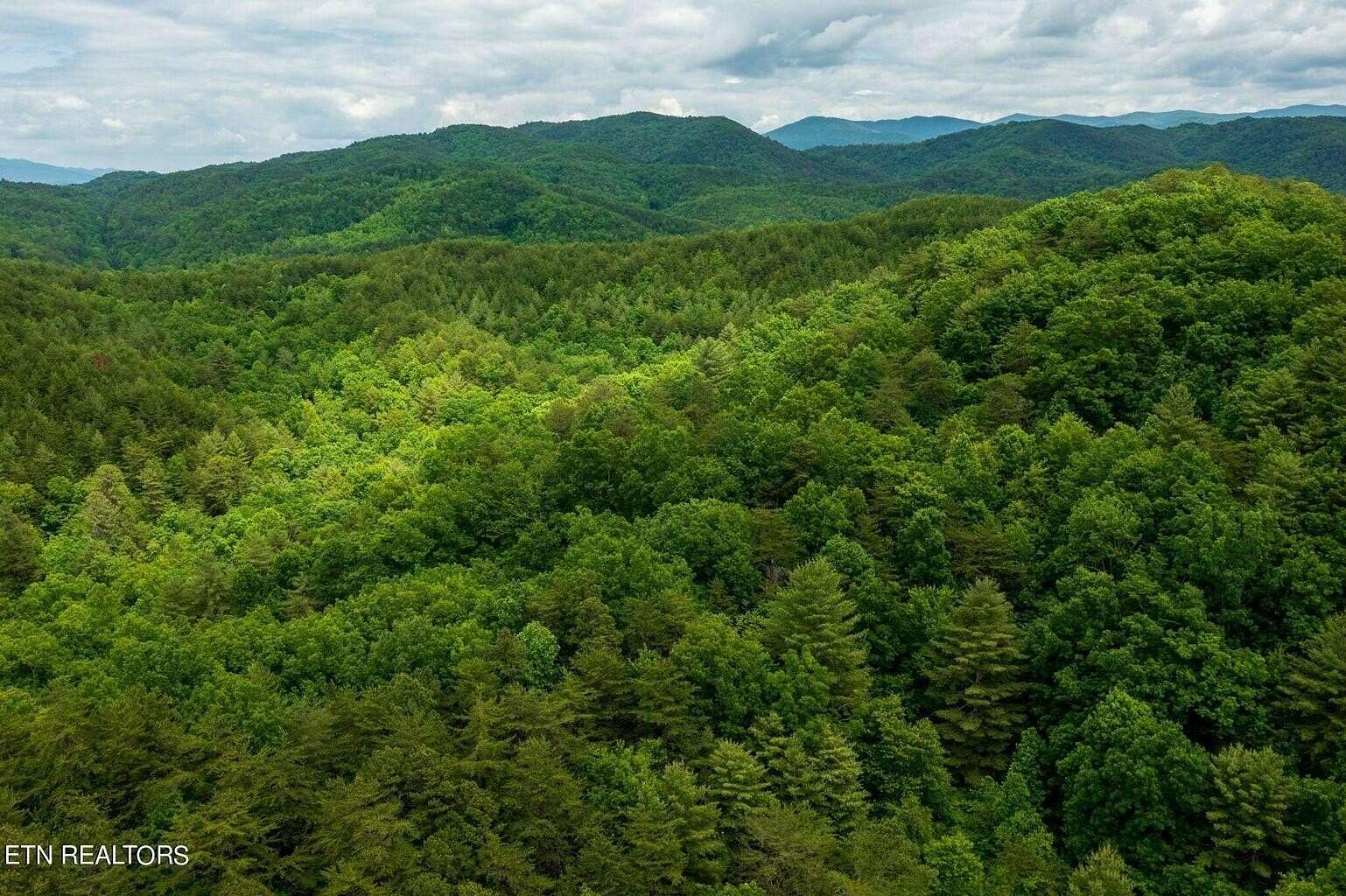 63.7 Acres of Recreational Land for Sale in Vonore, Tennessee