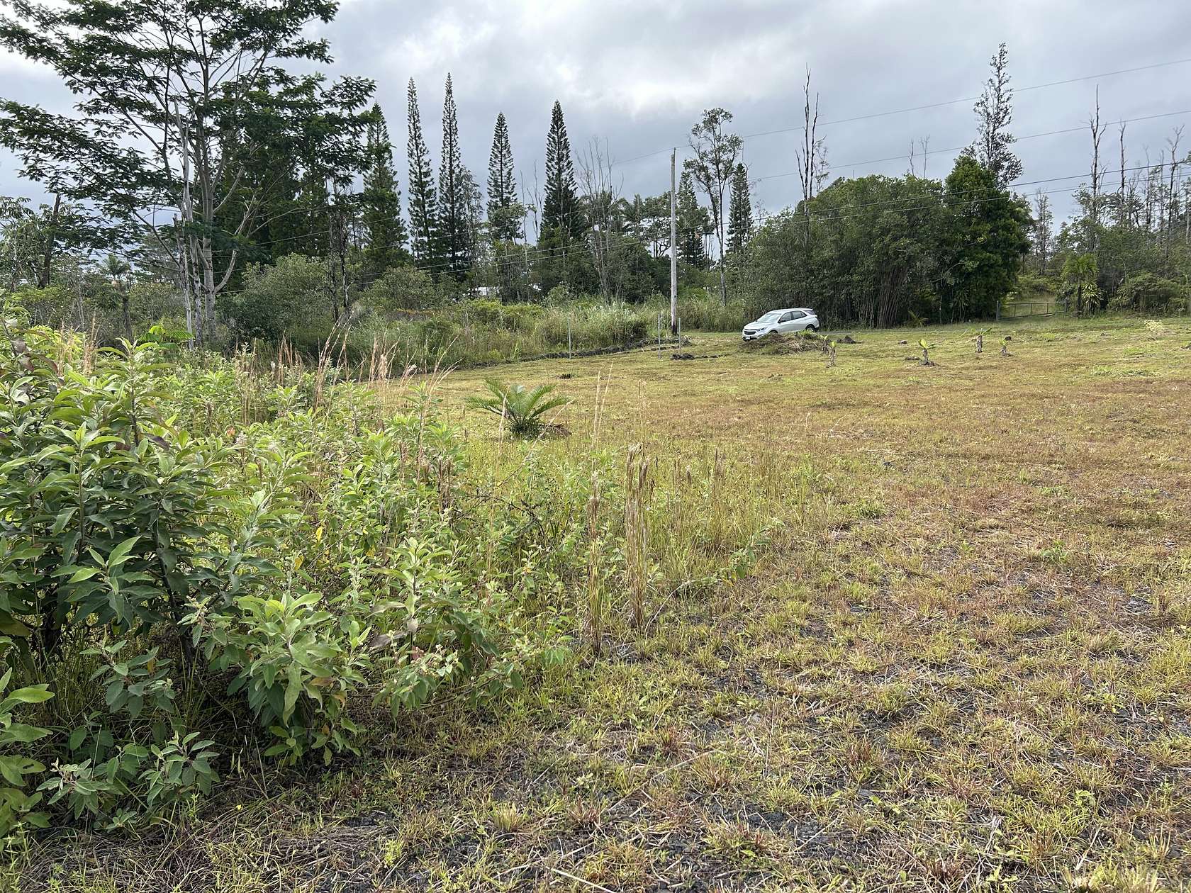 2 Acres of Land for Sale in Kurtistown, Hawaii