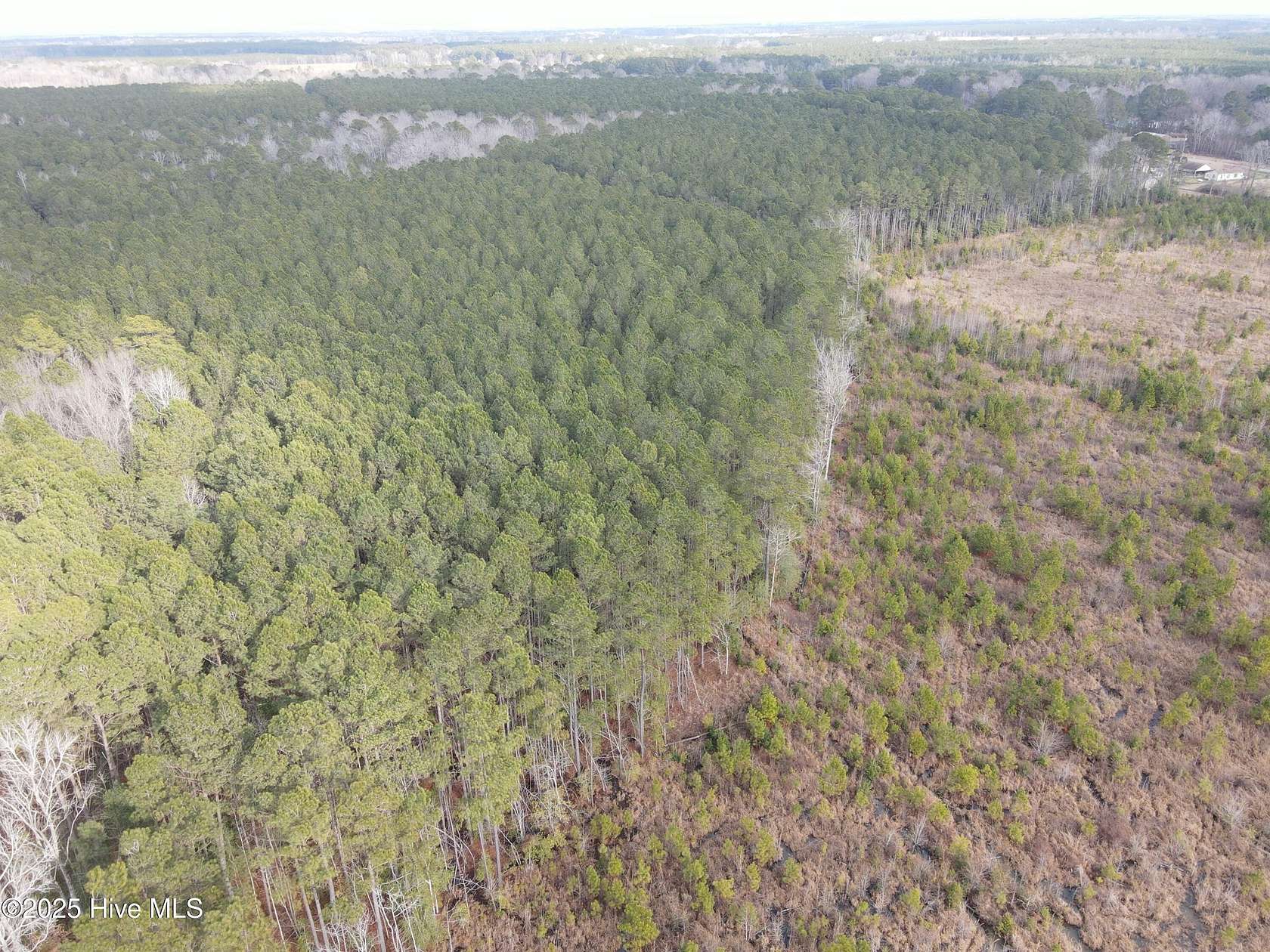 67.7 Acres of Recreational Land for Sale in Ahoskie, North Carolina