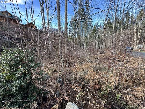 0.15 Acres of Residential Land for Sale in Detroit, Oregon