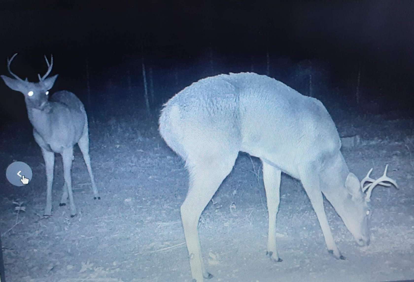 20.5 Acres of Recreational Land for Sale in Lee, Florida