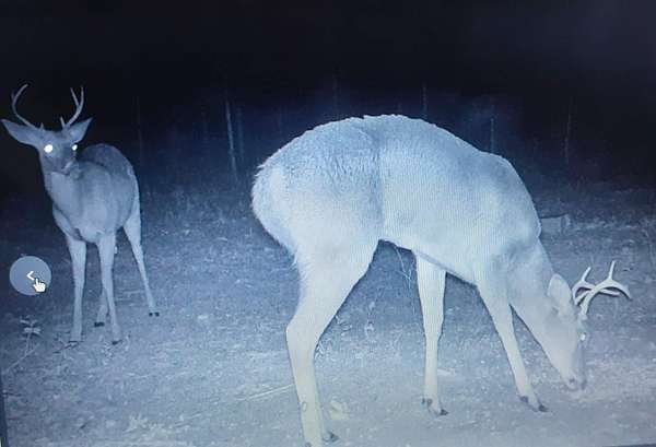 20.5 Acres of Recreational Land for Sale in Lee, Florida