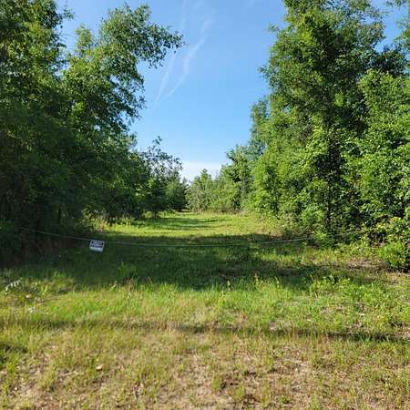 20.5 Acres of Recreational & Residential Land for Sale in Lee, Florida