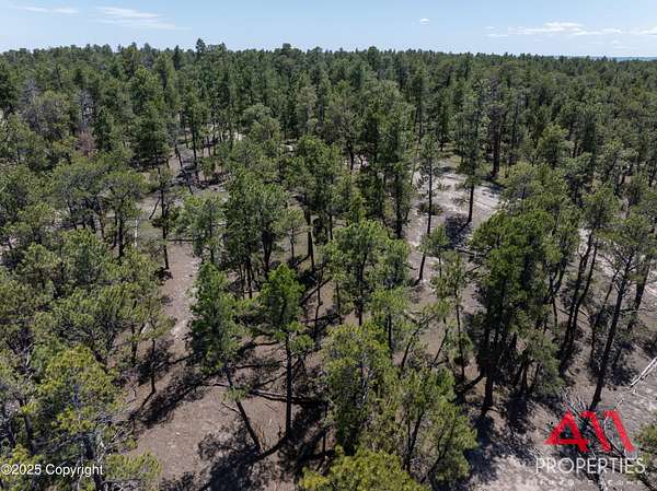40.5 Acres of Recreational Land for Sale in Moorcroft, Wyoming