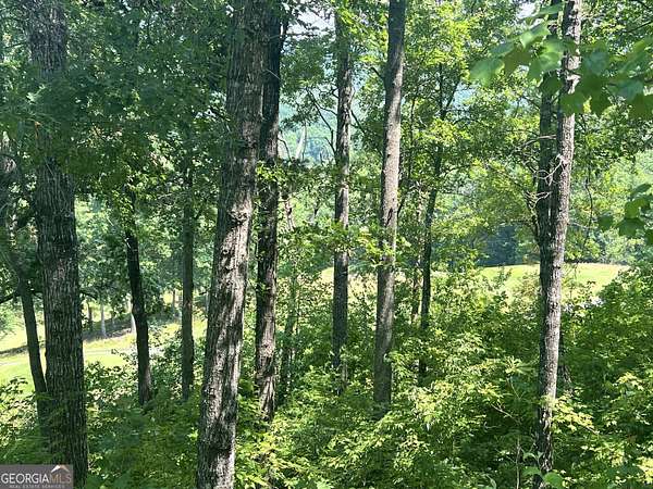 0.35 Acres of Land for Sale in Clayton, Georgia