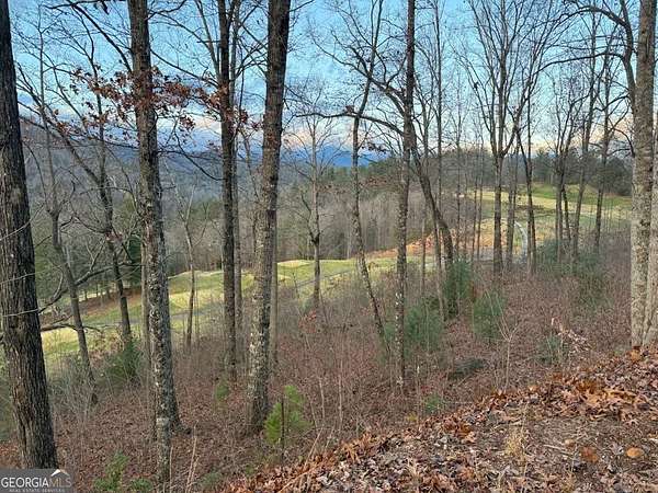 0.35 Acres of Land for Sale in Clayton, Georgia