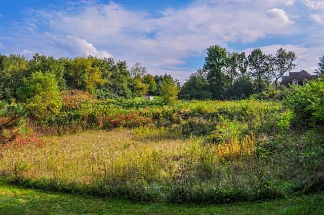 1 Acre of Residential Land for Sale in Crystal Lake, Illinois