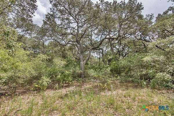 16 Acres of Land for Sale in Edna, Texas