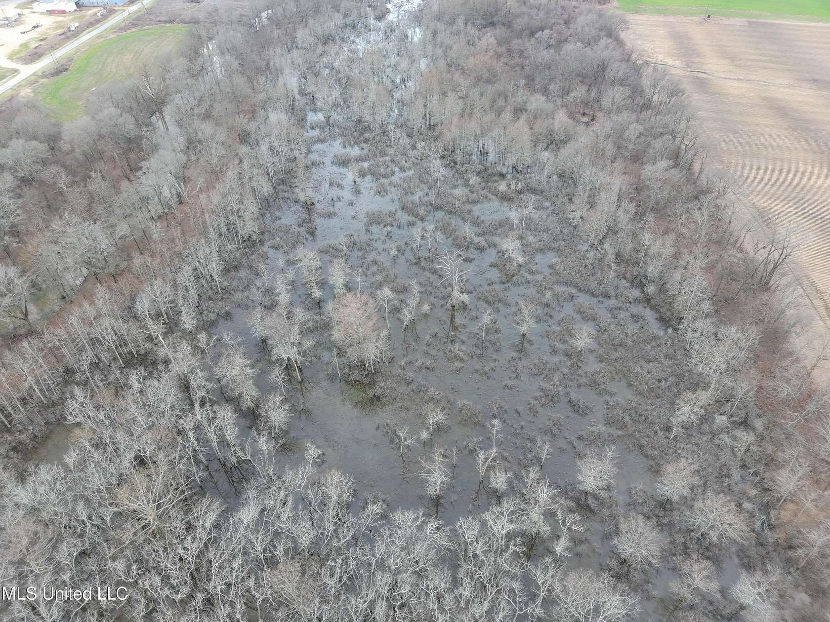 37 Acres of Recreational Land for Sale in Minter City, Mississippi