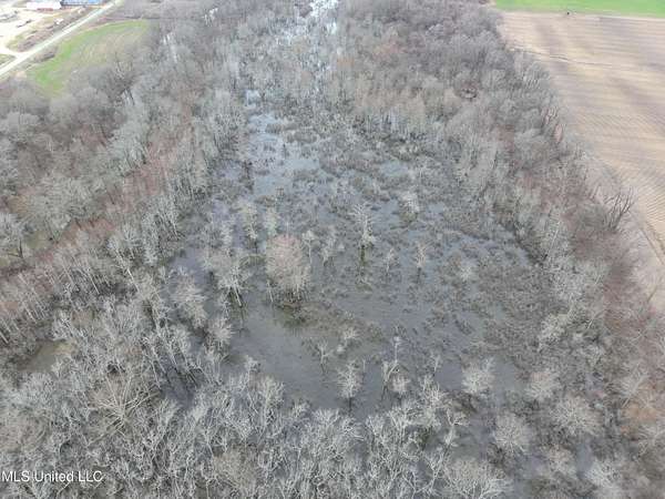 37 Acres of Recreational Land for Sale in Minter City, Mississippi