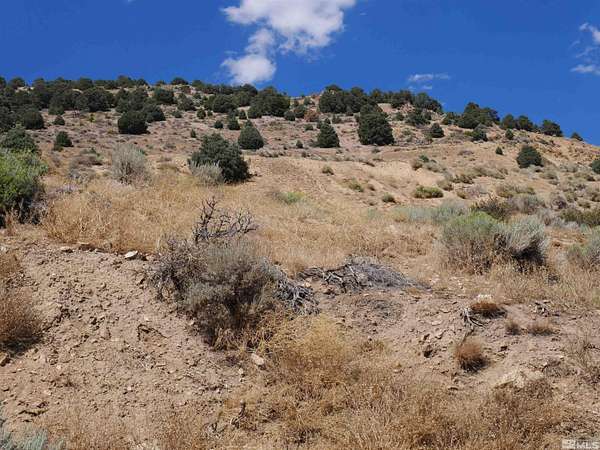 0.62 Acres of Mixed-Use Land for Sale in Virginia City, Nevada