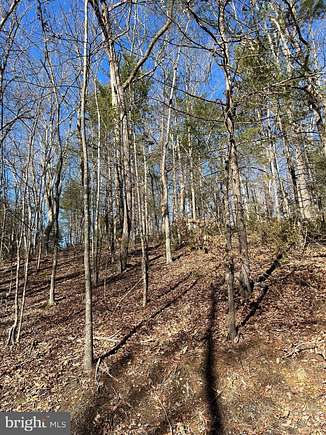 0.39 Acres of Residential Land for Sale in Basye, Virginia