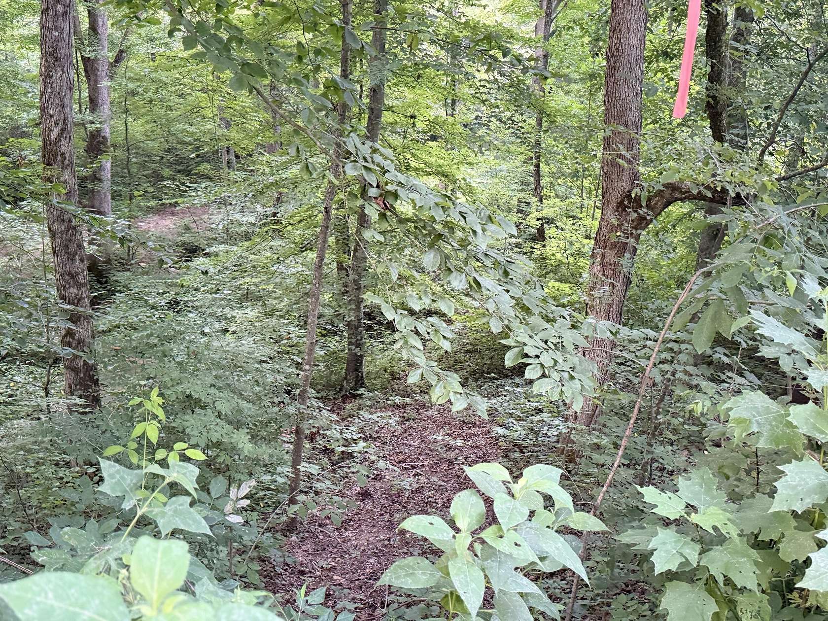 0.3 Acres of Land for Sale in Somerset, Kentucky